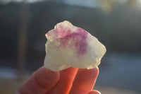 Natural Rough Watermelon Fluorite Cobbed Specimens  x 35 From Uis, Namibia