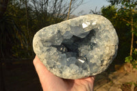 Natural Classic Blue Celestite Geode With Semi Optic Crystals  x 1 From Madagascar - TopRock