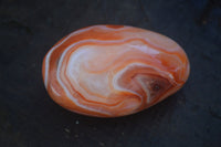 Polished Stunning Carnelian Agate Palm Stones  x 6 From Madagascar - Toprock Gemstones and Minerals 