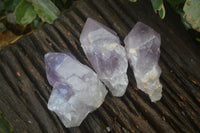 Natural Large Single Jacaranda Amethyst Crystals  x 12 From Mumbwa, Zambia - Toprock Gemstones and Minerals 