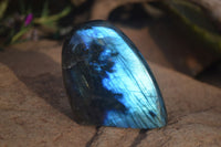 Polished Flashy Labradorite Standing Free Forms  x 6 From Tulear, Madagascar