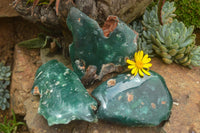 Polished Green Mtorolite / Emerald Chrome Chrysoprase Slices  x 3 From Zimbabwe - TopRock