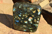 Polished Labradorite Standing Free Form With Spotted Blue & Gold Flash x 1 From Sakoany, Madagascar - TopRock