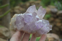 Natural Jacaranda Amethyst Clusters  x 3 From Zambia - TopRock