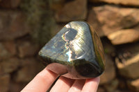 Polished Blue Flash Labradorite Standing Free Forms  x 4 From Tulear, Madagascar - TopRock