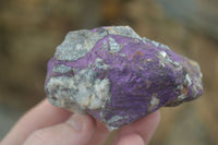 Natural Metallic Purpurite Cobbed Specimens  x 12 From Erongo, Namibia - Toprock Gemstones and Minerals 