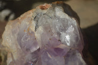 Natural Jacaranda Amethyst Cluster x 1 From Mumbwa, Zambia - TopRock