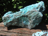 Natural Drusy Chrysocolla Dolomite With Green Tabular Orthorhombic Rare Libethenite Crystals & Malachite x 2 From Likasi, Congo - TopRock