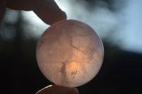 Polished Rare Star Rose Quartz Spheres  x 6 From Ambatondrazaka, Madagascar - Toprock Gemstones and Minerals 