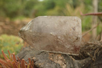 Polished Large Smokey Window Quartz Crystals  x 2 From Akansobe, Madagascar - TopRock