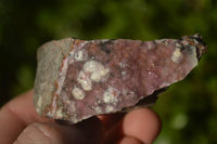 Natural Salrose Cobaltion Dolomite Specimens x 12 From Kakanda, Congo