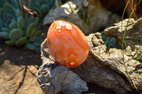 Polished Small Carnelian Agate Eggs  x 12 From Madagascar - TopRock