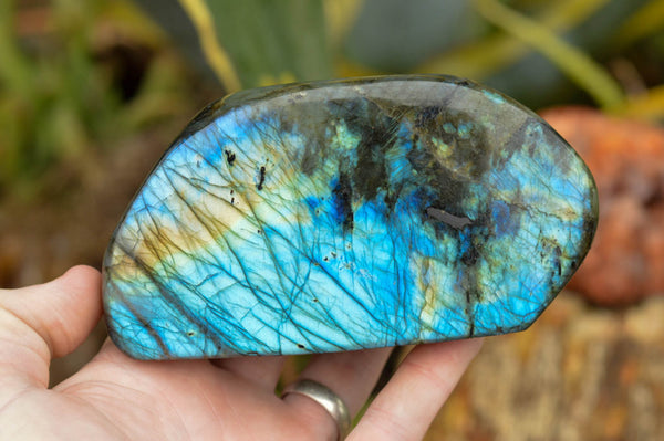 Polished Labradorite Standing Free Forms With Intense Blue & Gold Flash x 3 From Tulear, Madagascar - TopRock