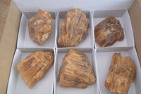 Natural Honey Aragonite Etched & Cobbed Pieces  x 6 From Namibia