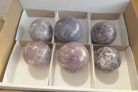 Polished Purple Lepidolite Spheres  x 6 From Madagascar