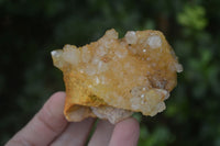 Natural Golden Limonite Quartz Clusters x 24 From Zambia