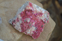 Natural Pink Salrose Cobaltion Dolomite Specimens  x 6 From Congo - Toprock Gemstones and Minerals 