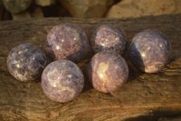 Polished Purple Lepidolite Spheres  x 6 From Madagascar