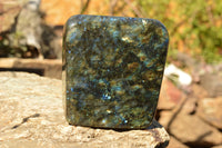 Polished Labradorite Standing Free Form With Spotted Blue & Gold Flash x 1 From Sakoany, Madagascar - TopRock