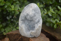 Polished Blue Celestite Standing Free Forms  x 2 From Sakoany, Madagascar - Toprock Gemstones and Minerals 