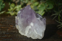 Natural Jacaranda Amethyst Clusters  x 3 From Mumbwa, Zambia - Toprock Gemstones and Minerals 