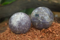 Polished Purple Lepidolite Spheres  x 6 From Ambatondrazaka, Madagascar - Toprock Gemstones and Minerals 