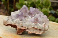 Natural Jacaranda Amethyst Quartz Cluster  x 1 From Zambia - TopRock