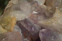 Natural Jacaranda Amethyst Cluster x 1 From Mumbwa, Zambia - TopRock