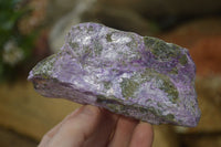 Natural Rough Stichtite & Serpentine Specimens x 6 From Barberton, South Africa