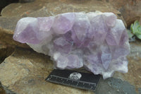 Natural Large Jacaranda Amethyst Crystal Cluster  x 1 From Mumbwa, Zambia - Toprock Gemstones and Minerals 