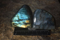 Polished Flashy Labradorite Standing Free Forms  x 6 From Tulear, Madagascar