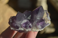 Natural Dark Amethyst Crystal Clusters x 12 From Zambia