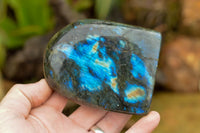 Polished Labradorite Standing Free Forms With Intense Blue & Gold Flash x 3 From Tulear, Madagascar - TopRock