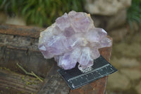 Natural Jacaranda Amethyst Clusters  x 3 From Zambia - TopRock