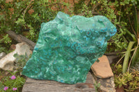 Polished XXL Malacholla (Chrysocolla & Malachite) Standing Display Piece  x 1 From Congo - TopRock