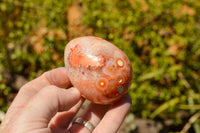 Polished Small Carnelian Agate Eggs  x 12 From Madagascar - TopRock