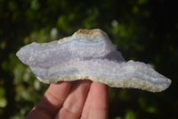 Natural Blue Lace Agate Geode Specimens  x 12 From Nsanje, Malawi