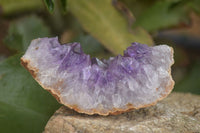 Natural Amethyst & Crystal Centred Geodes  x 12 From Zululand, South Africa - TopRock