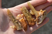 Natural Golden Limonite Fairy Spirit Quartz Finger Clusters x 35 From Boekenhouthoek, South Africa - TopRock