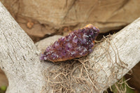 Natural Dark "Amethystos" Amethyst Clusters  x 12 From Kwaggafontein, South Africa - TopRock