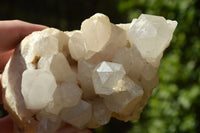 Natural Optic to Semi Optic Quartz Clusters x 5 From Serenje, Zambia - TopRock