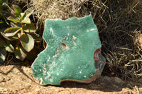 Polished Green Mtorolite Plates x 3 From Zimbabwe - TopRock