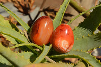 Polished Small Carnelian Agate Eggs  x 12 From Madagascar - TopRock