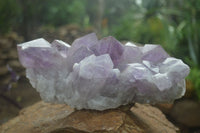 Natural Large Jacaranda Amethyst Crystal Cluster  x 1 From Mumbwa, Zambia - Toprock Gemstones and Minerals 