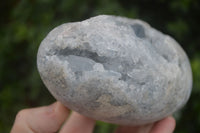 Polished Blue Celestite Standing Free Forms  x 2 From Sakoany, Madagascar - Toprock Gemstones and Minerals 