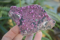 Natural Pink Salrose Cobaltion Dolomite Specimens  x 6 From Congo - Toprock Gemstones and Minerals 