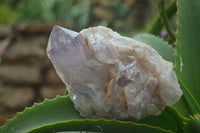 Natural Jacaranda Amethyst Clusters  x 3 From Zambia - TopRock