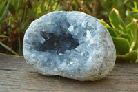 Natural Classic Blue Celestite Geode With Semi Optic Crystals  x 1 From Madagascar - TopRock