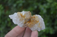 Natural Golden Limonite Quartz Clusters x 24 From Zambia