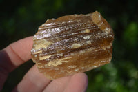 Natural Honey Aragonite Etched & Cobbed Pieces  x 12 From Namibia - Toprock Gemstones and Minerals 